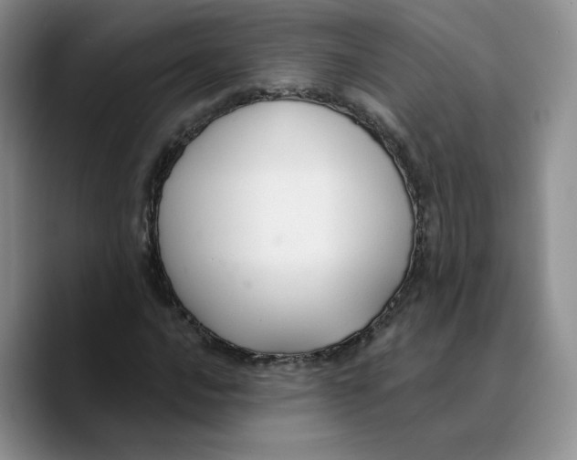X0000089681016200707201655