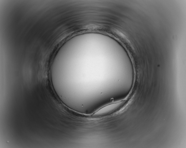 X0000089681017200707201655