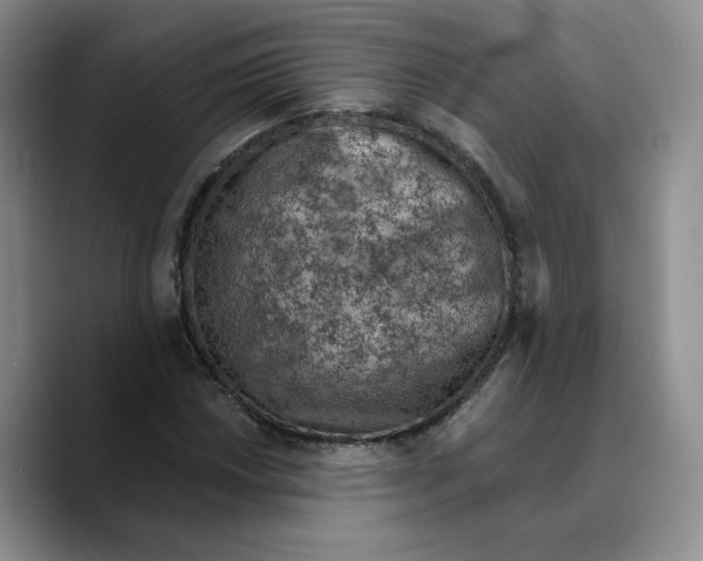 X0000089681018200707201655
