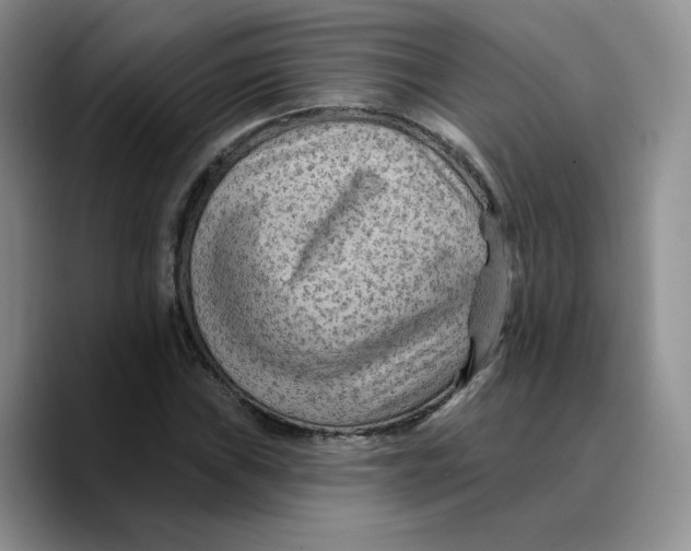 X0000089681019200707201655