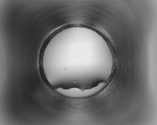 X0000089681020200707201655
