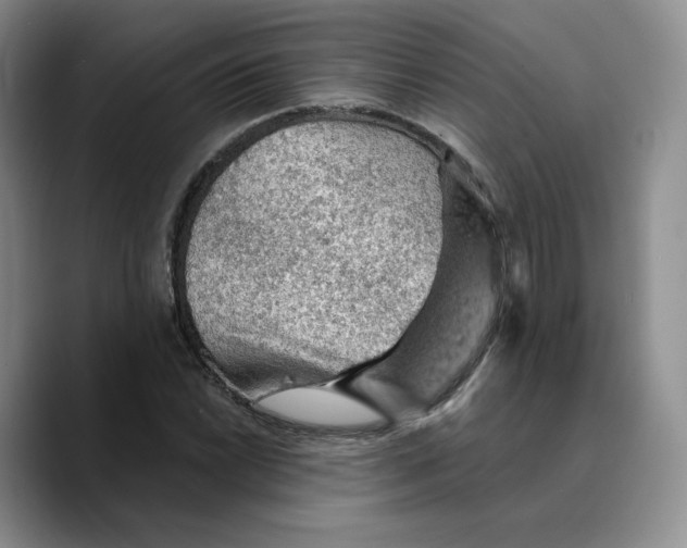X0000089681022200707201655