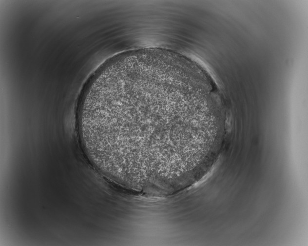 X0000089681023200707201655