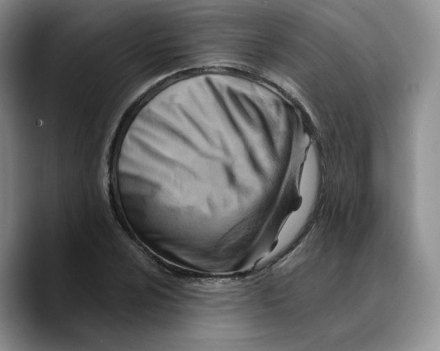 X0000089681024200707201655
