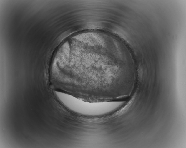 X0000089681025200707201655