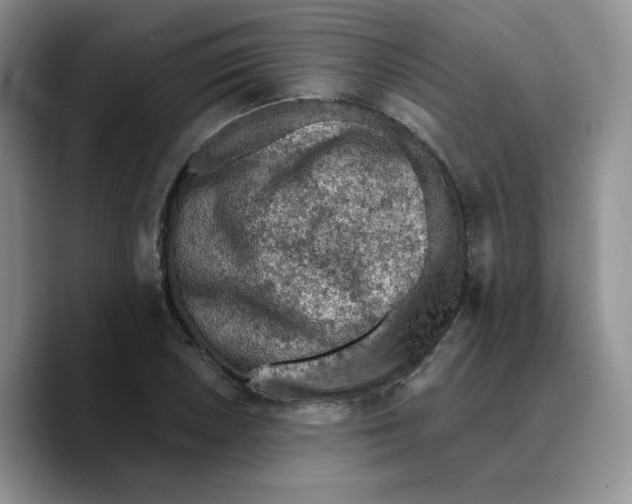 X0000089681026200707201655