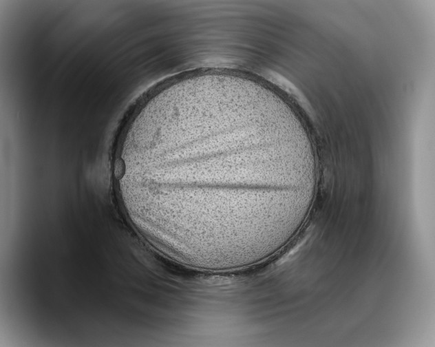 X0000089681027200707201655