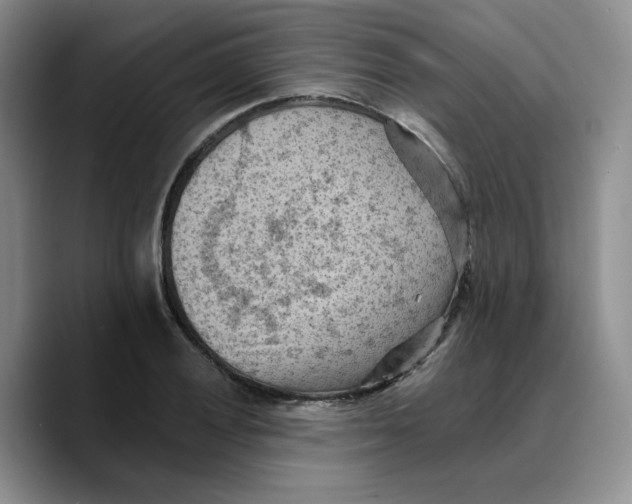 X0000089681028200707201655
