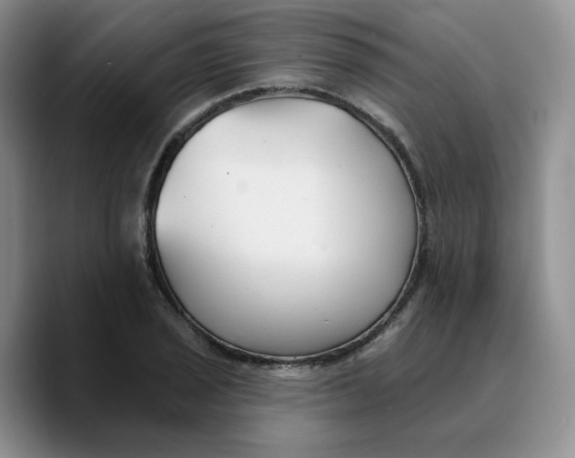 X0000089681029200707201655