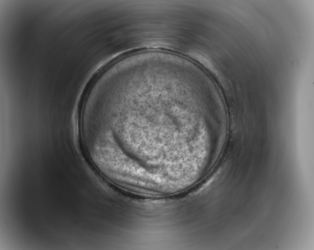 X0000089681032200707201656