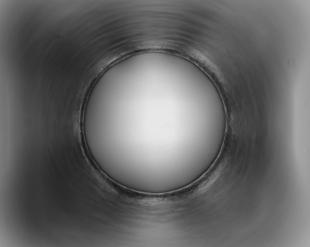 X0000089681033200707201656