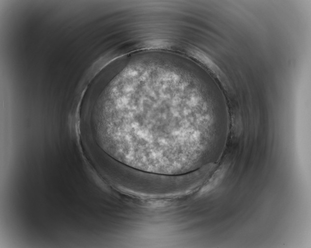 X0000089681034200707201656