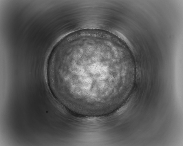 X0000089681035200707201656