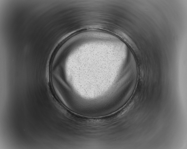 X0000089681036200707201656