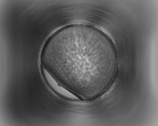 X0000089681037200707201656