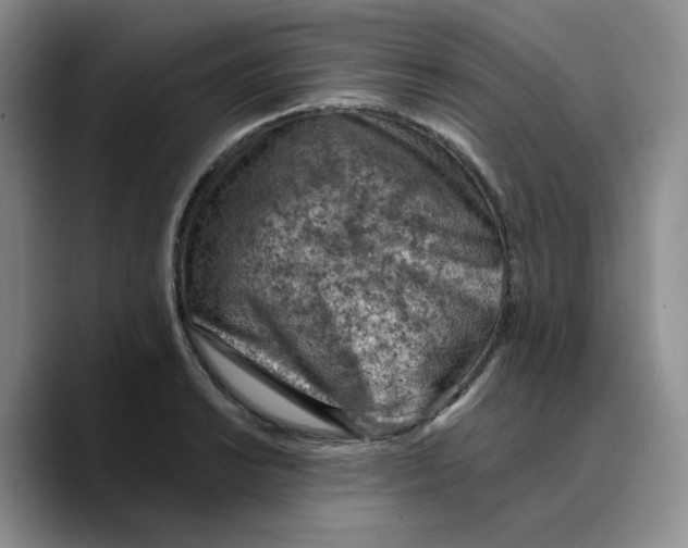 X0000089681038200707201656