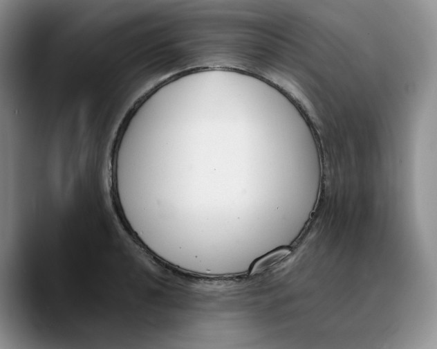 X0000089681040200707201656