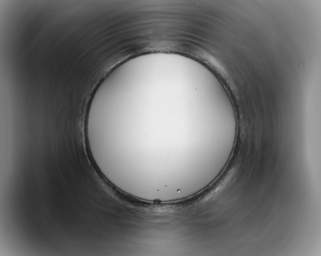 X0000089681041200707201656