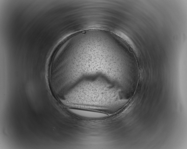 X0000089681043200707201656