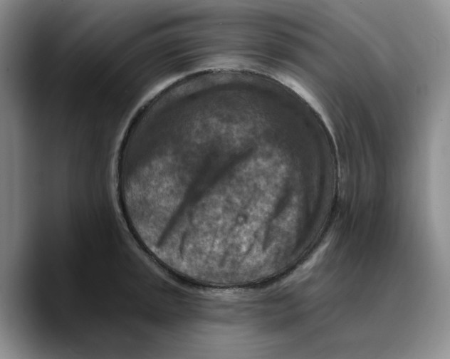 X0000089681045200707201656