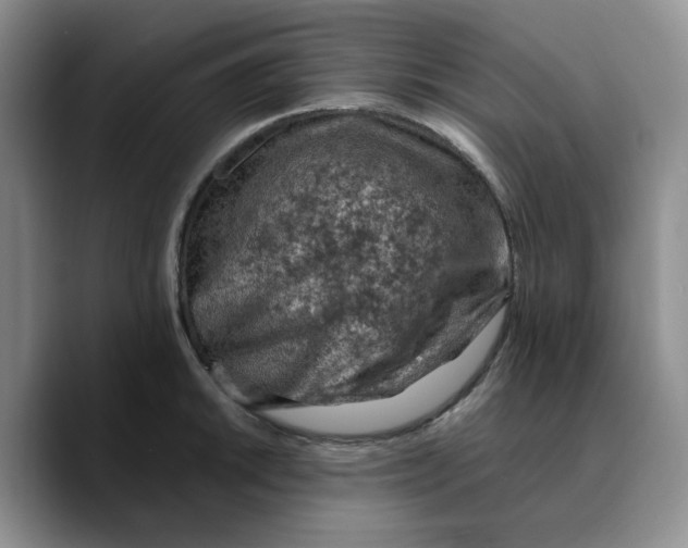 X0000089681046200707201656