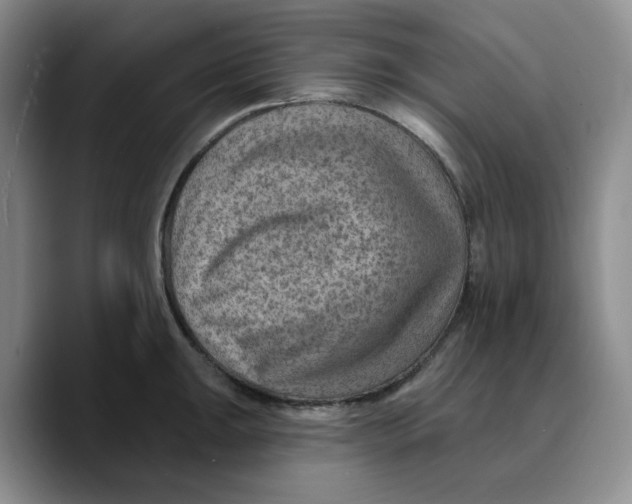 X0000089681047200707201656