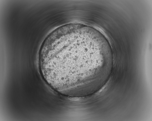 X0000089681048200707201656