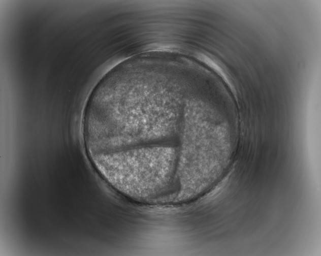 X0000089681050200707201656