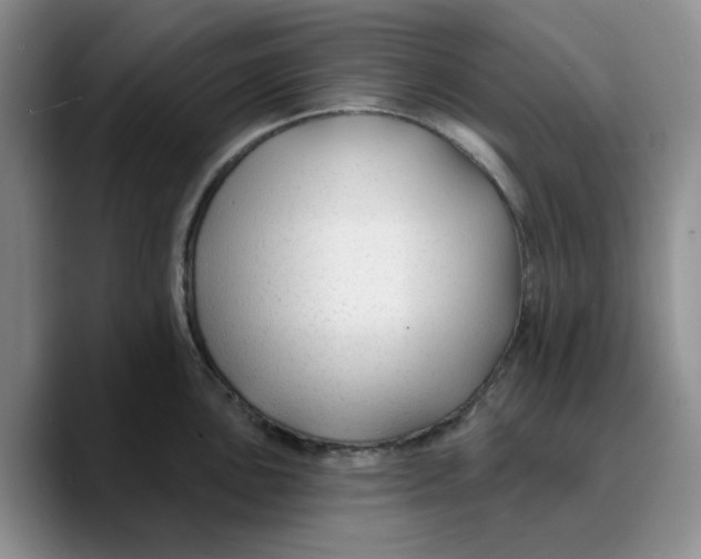 X0000089681051200707201656