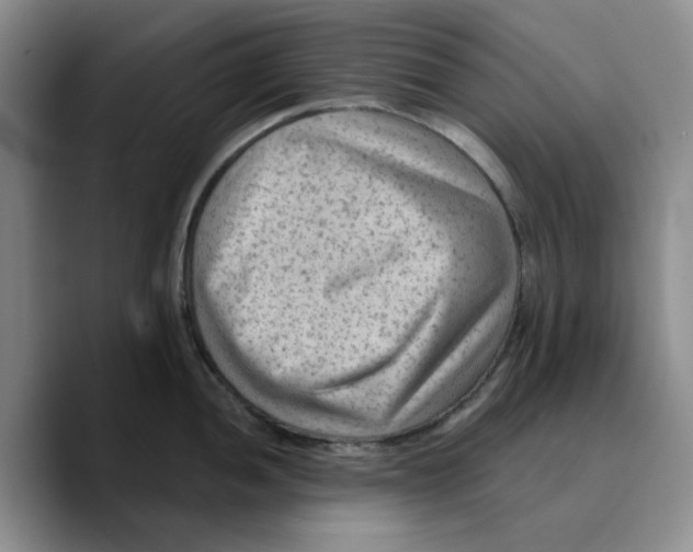 X0000089681052200707201656