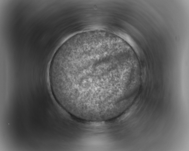 X0000089681055200707201656