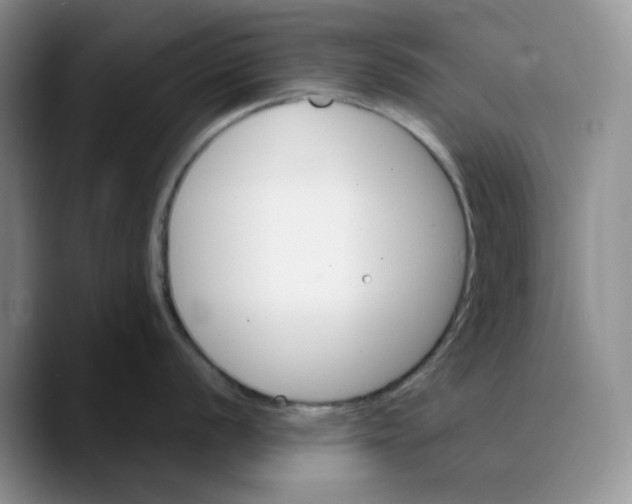 X0000089681056200707201656