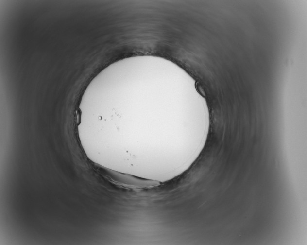 X0000089681057200707201655