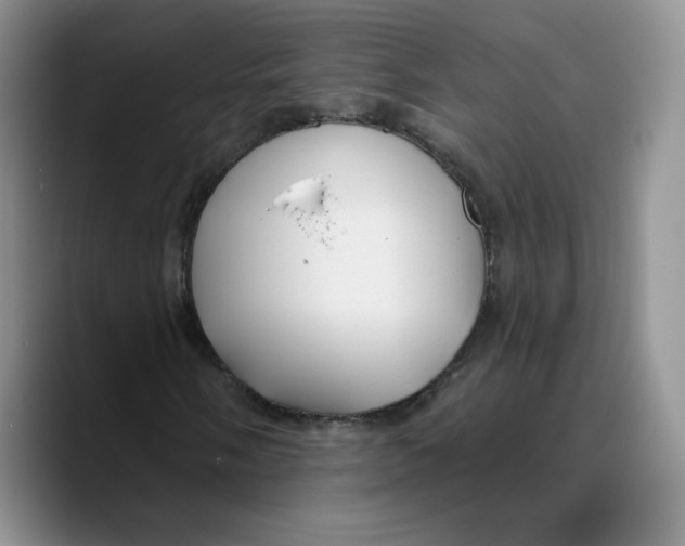 X0000089681058200707201655