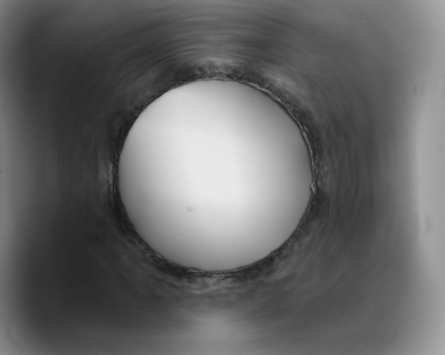 X0000089681061200707201655