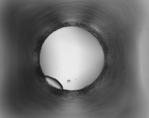 X0000089681062200707201655