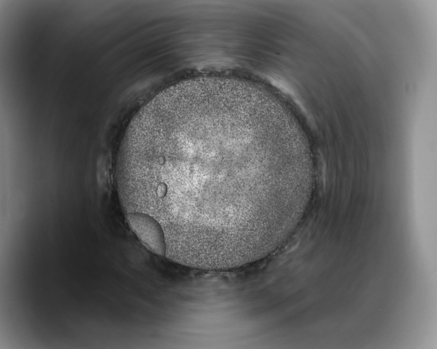 X0000089681063200707201655