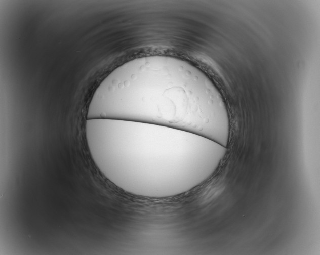 X0000089681064200707201655