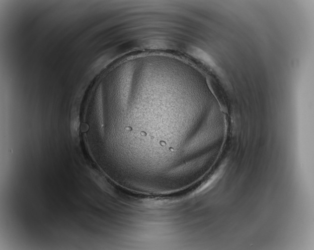 X0000089681065200707201655