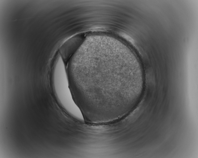 X0000089681066200707201655