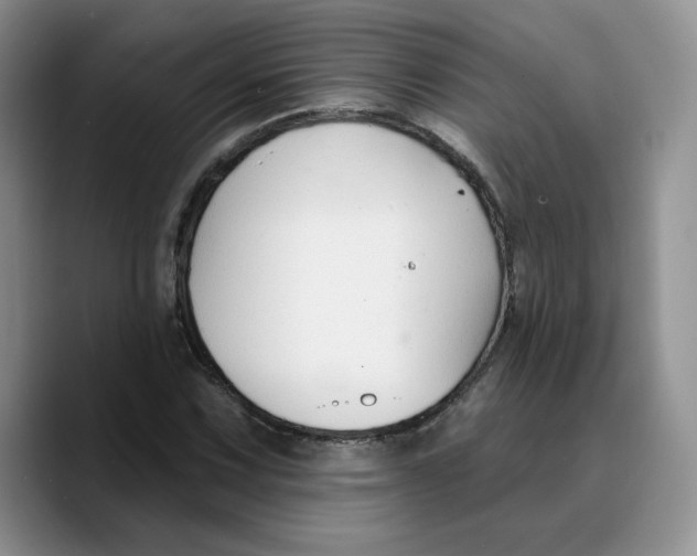 X0000089681067200707201655