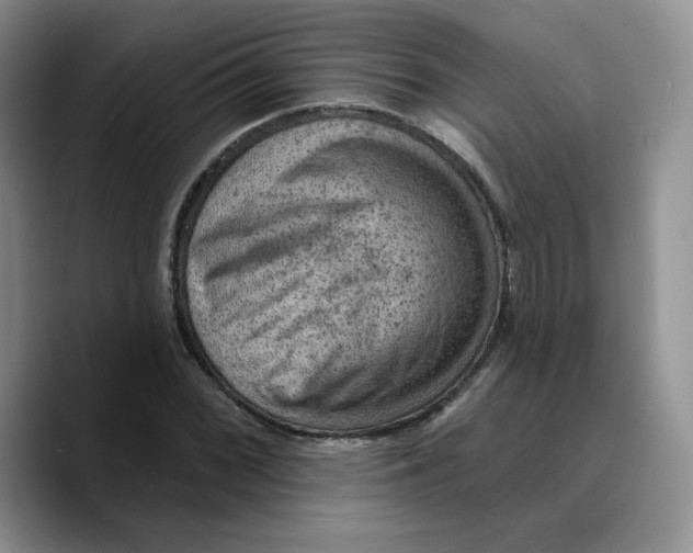 X0000089681068200707201655