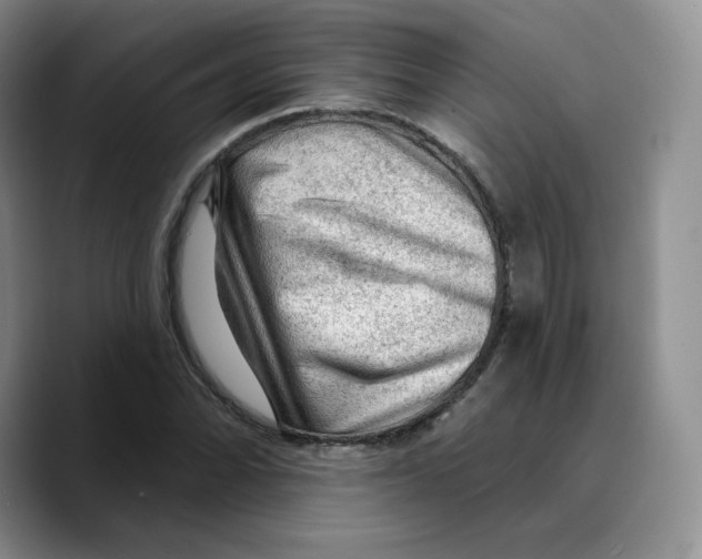 X0000089681070200707201655