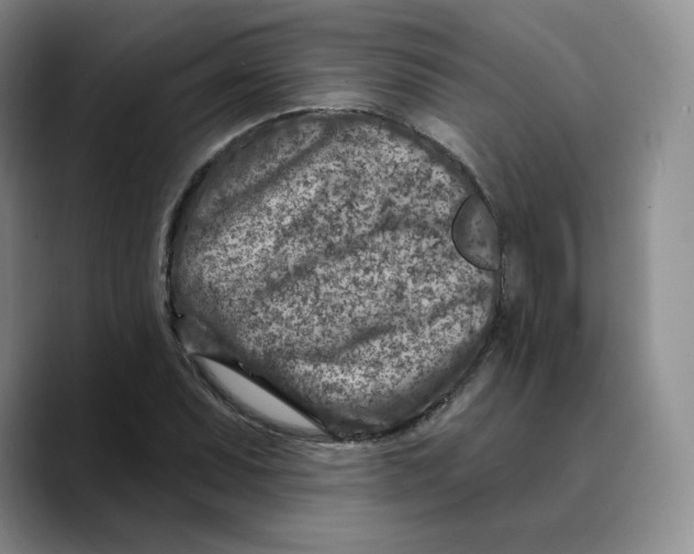 X0000089681071200707201655