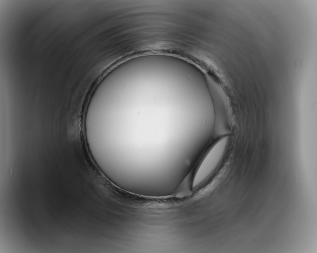 X0000089681073200707201655