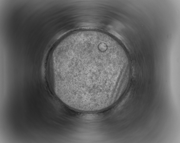 X0000089681074200707201655
