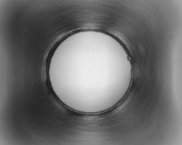 X0000089681075200707201655