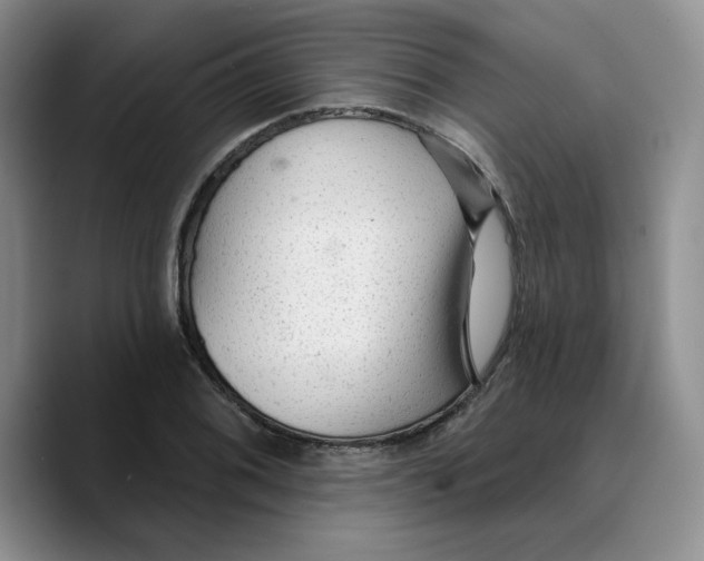 X0000089681076200707201655