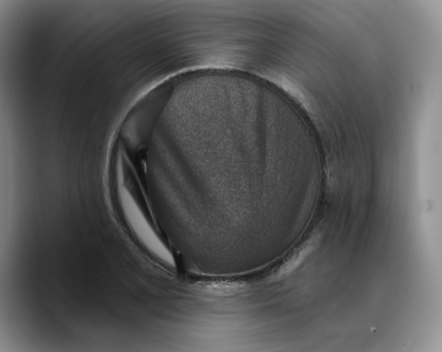 X0000089681077200707201655