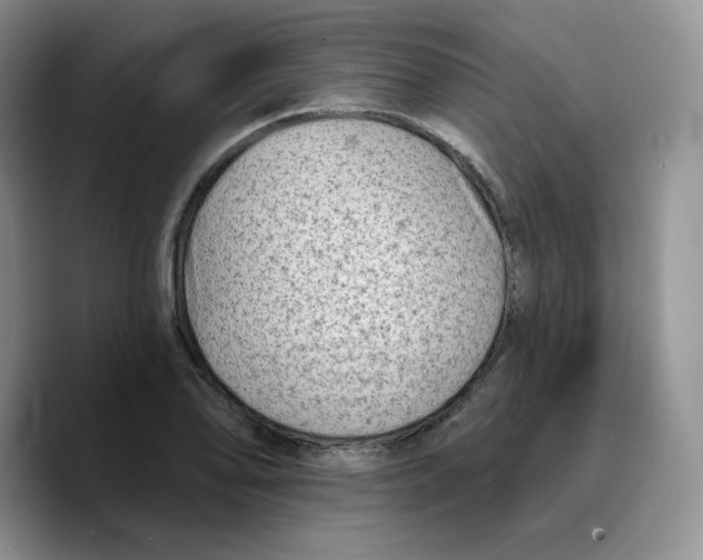 X0000089681078200707201655